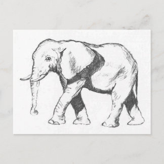 Carte Postale Eléphant