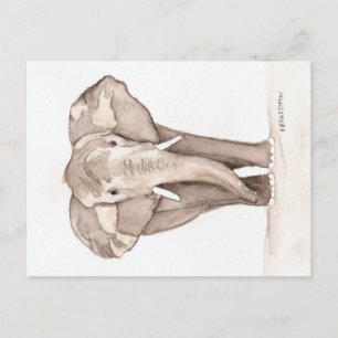 carte postale éléphant