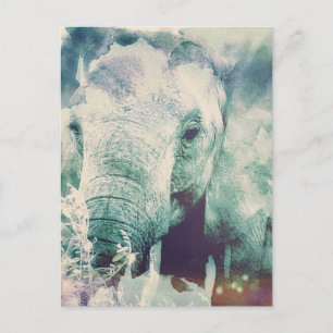 Carte Postale Eléphant