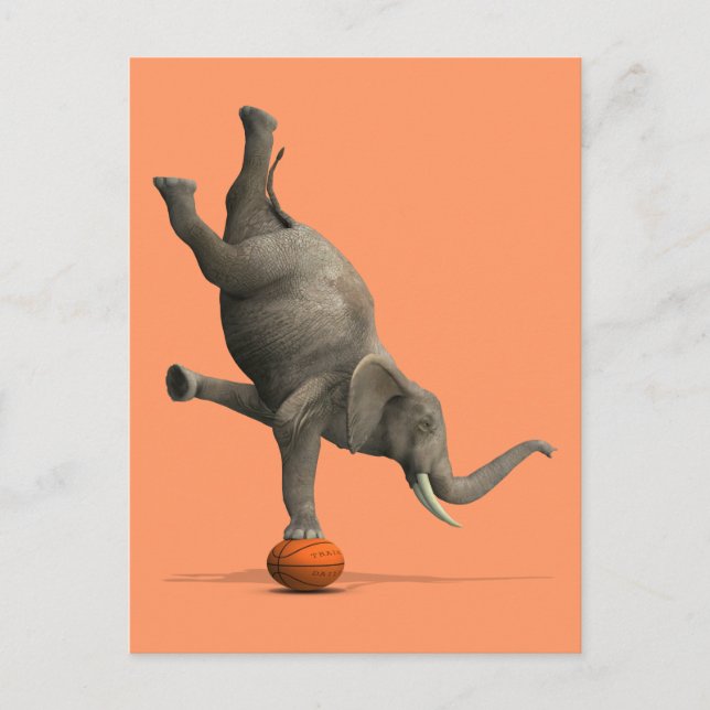 Carte Postale Eléphant artistique (Devant)