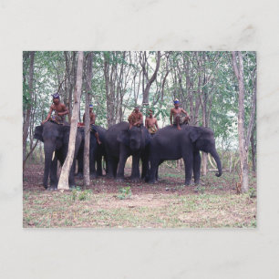 Carte postale Eléphant Asiatique