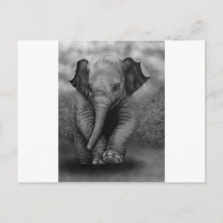 Carte Postale Eléphant bébé