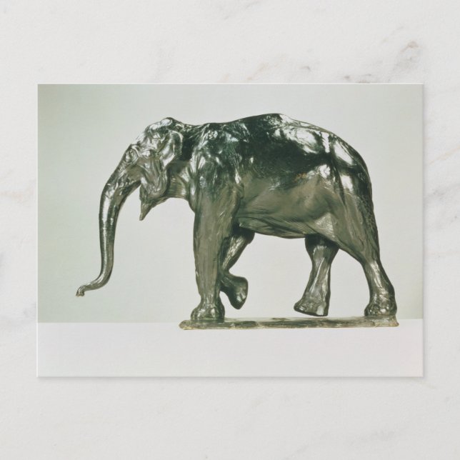 Carte Postale Eléphant blanc (Devant)