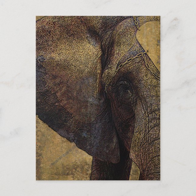 Carte Postale Éléphant d'Afrique Majestueux Parchemin Grunge (Devant)