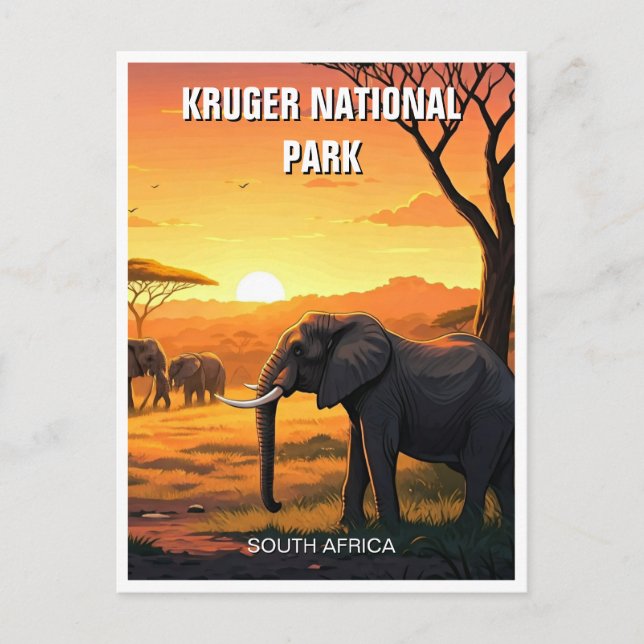 Carte Postale Elephant dans le parc national Kruger Afrique du S (Devant)