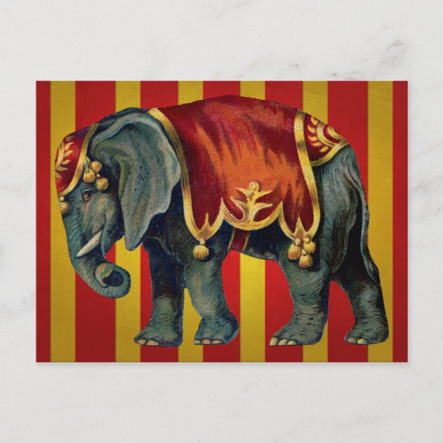 Carte Postale éléphant de cirque vintage (Devant)