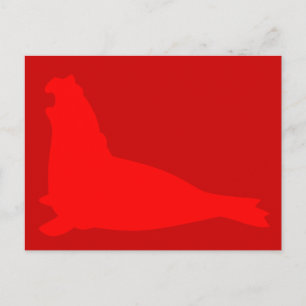 Carte postale éléphant de mer rouge