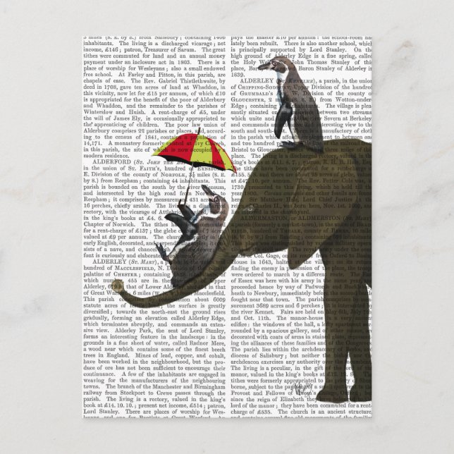 Carte Postale Éléphant et pingouin (Devant)