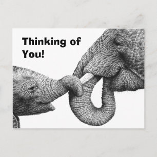 Carte postale Eléphant et veau d'Afrique