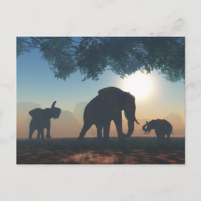 Carte Postale Elephant herd (Devant)