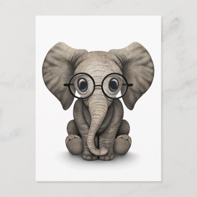 Carte Postale Eléphant mignon bébé avec lunettes de lecture Blan (Devant)