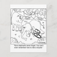 Elephant ne se rappelle pas comment faire un vélo