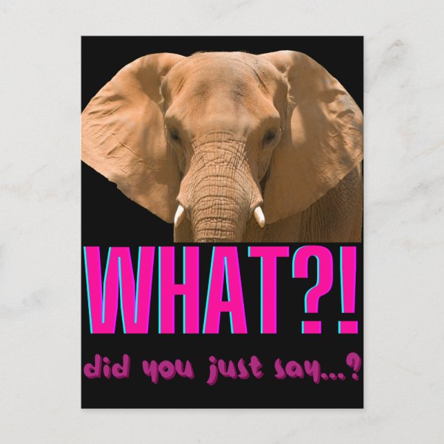 Carte Postale Elephant Que Viens-Tu De Dire ? (Devant)