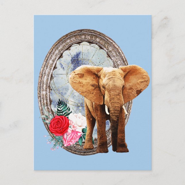 Carte Postale Eléphant, Rose Et Cadre (Devant)