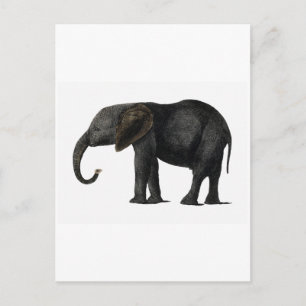 CARTE POSTALE ÉLÉPHANT vintage