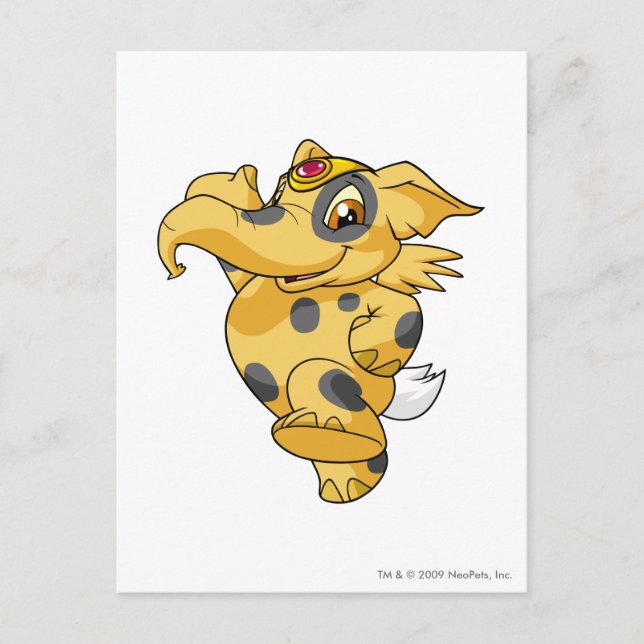 Carte Postale Elephante a repéré (Devant)