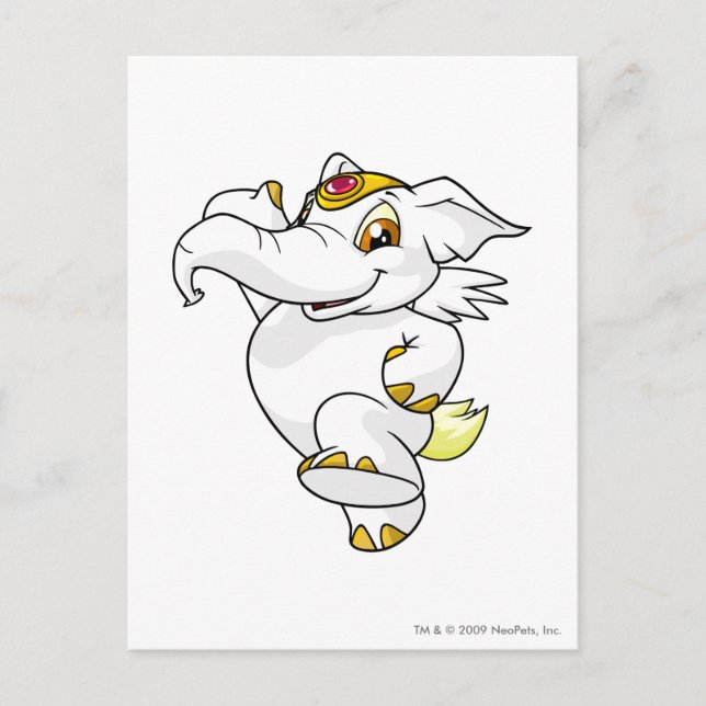 Carte Postale Elephante blanche (Devant)