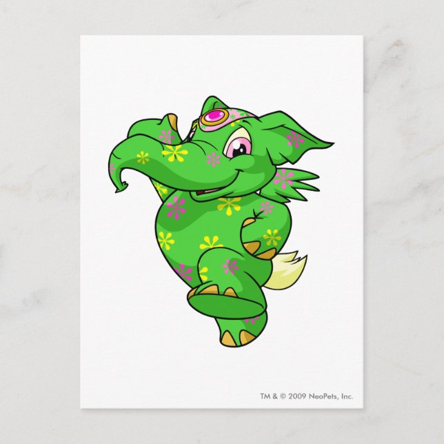 Carte Postale Elephante Disco (Devant)