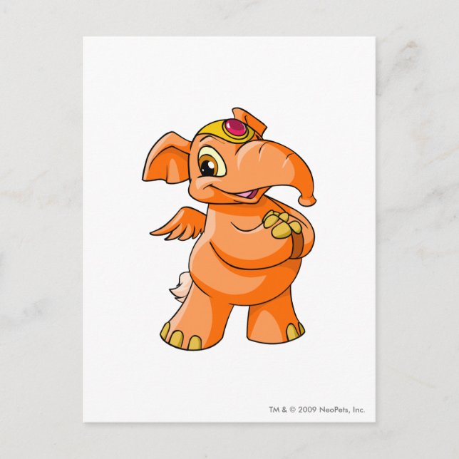 Carte Postale Elephante Orange (Devant)