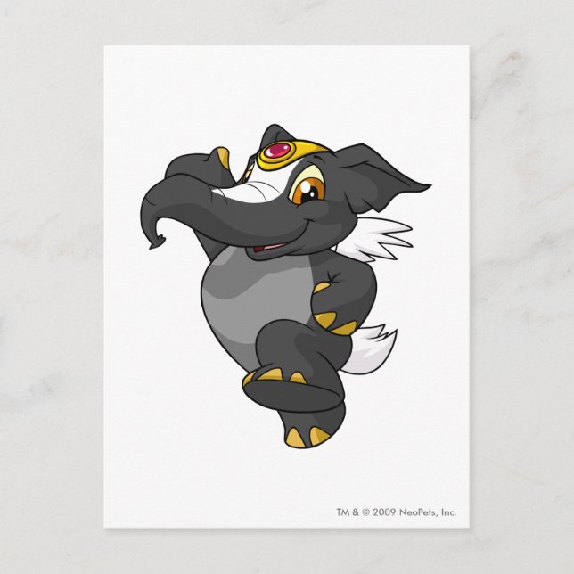 Carte Postale Elephante Skunk (Devant)