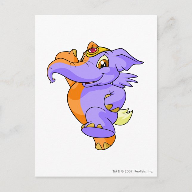 Carte Postale Elephante Split (Devant)