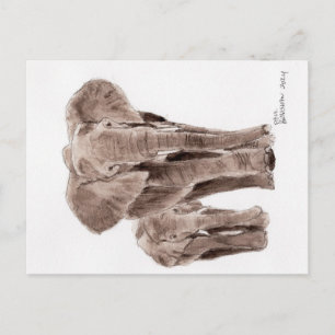carte postale éléphants