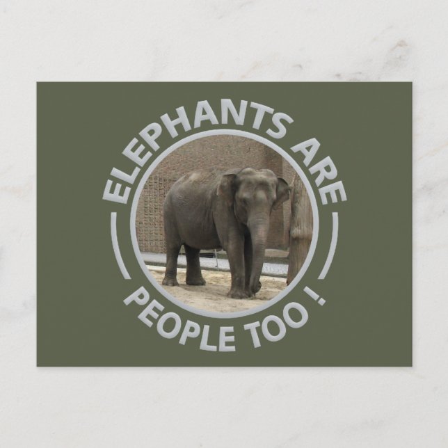 Carte postale ELEPHANTS (Devant)