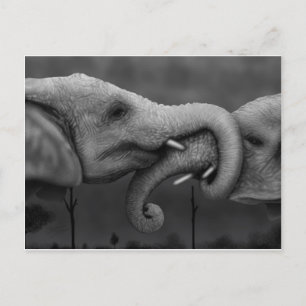 Carte Postale Eléphants