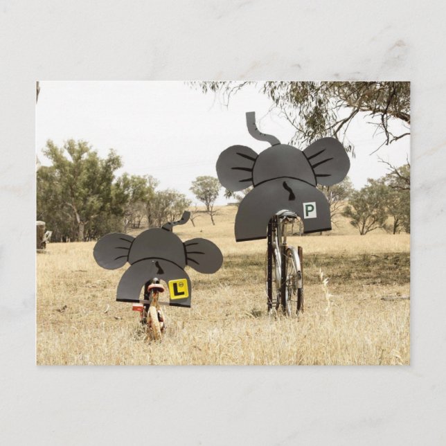 Carte Postale Eléphants à vélo (Devant)