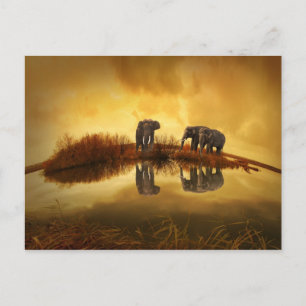 Carte Postale Eléphants asiatiques