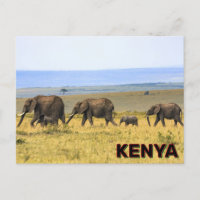 Eléphants Au Kenya
