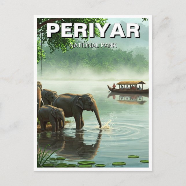 Carte Postale Eléphants dans le parc national de Periyar Inde Vo (Devant)