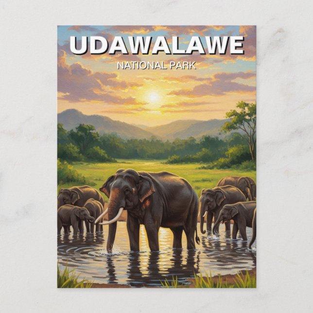 Carte Postale Eléphants dans le Parc national de Sri Lanka Udawa (Devant)