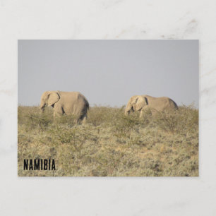 Carte Postale éléphants namibie