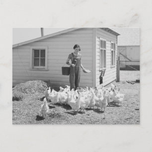 Carte Postale Élevage de poulets chez les filles de ferme, 1936