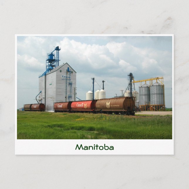 Carte Postale Élévateur à grains occidental (Devant)