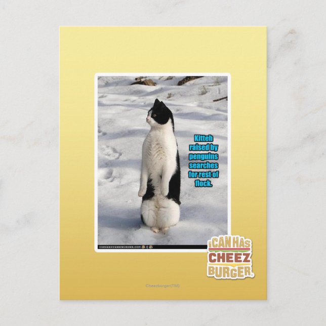 Carte Postale Élevé par des pingouins (Devant)