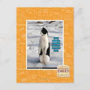 Carte Postale Élevé par des pingouins