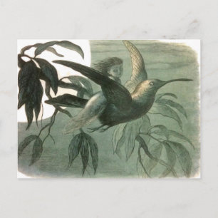 Carte Postale Elf Fairies Elves Lune Scène nocturne Oiseau Volan