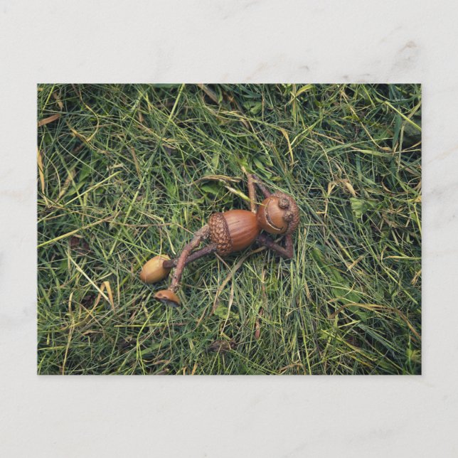 Carte Postale Elfe de maïs reposant sur le foin (Devant)