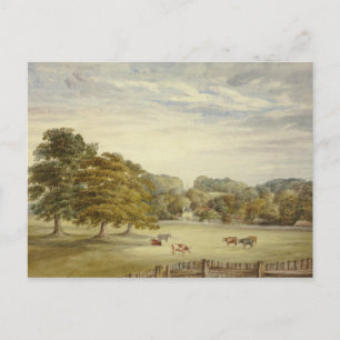 Carte Postale Elizabeth Murray - Pâturage de six vaches avant le