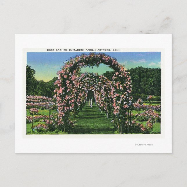 Carte Postale Elizabeth Park Vue des arches Roses (Devant)