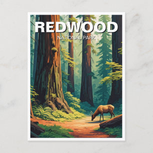 Carte Postale Elk at Redwood National Park