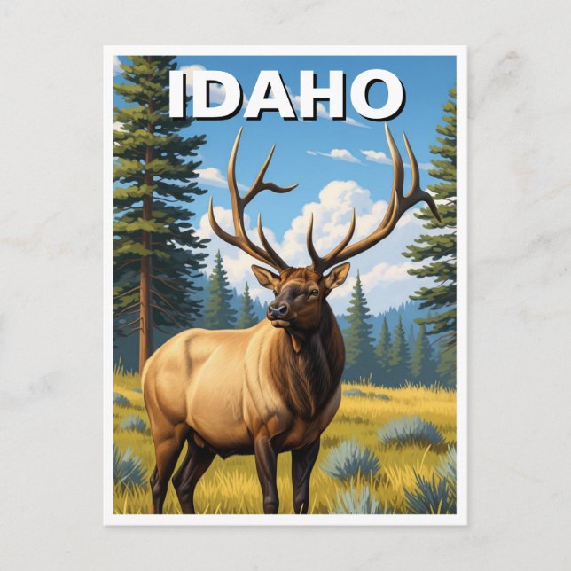 Carte Postale Elk dans l'Idaho (Devant)