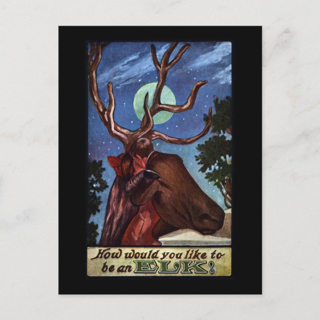 Carte Postale Elk d'illusion optique (Devant)
