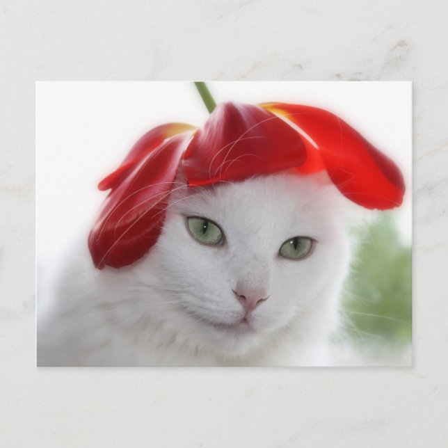 Carte Postale Elle portait un Casquette en forme de Tulipe (Devant)