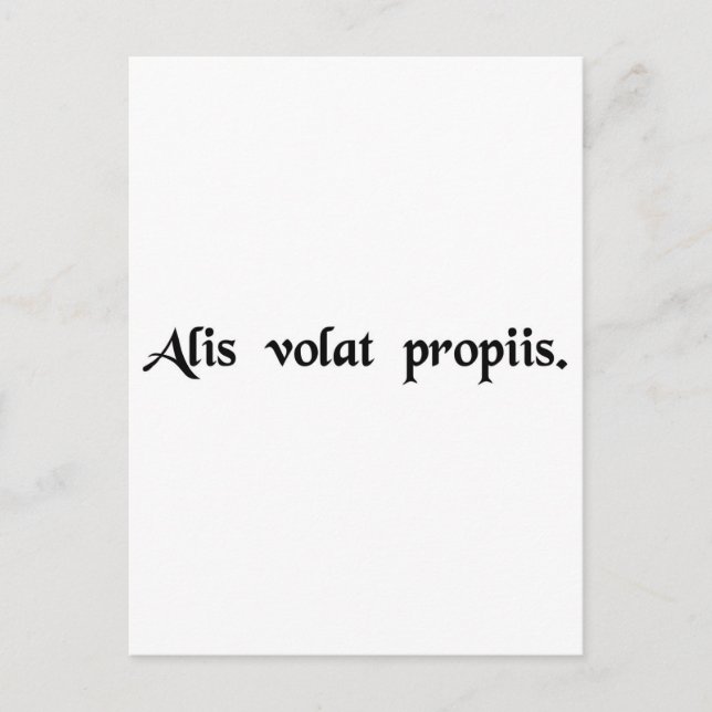 Carte Postale Elle vole avec ses ailes (Devant)