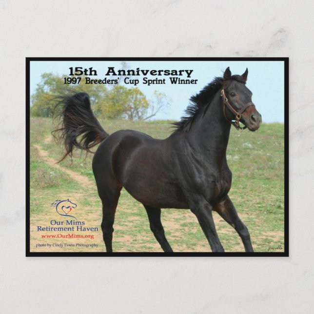 Carte Postale Elmhurst - gagnant de sprint de tasse de "97 (Devant)