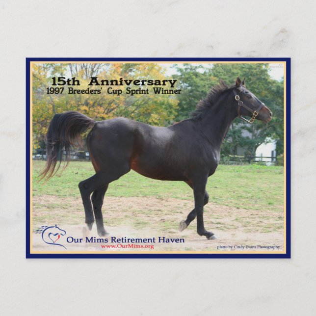 Carte Postale Elmhurst - Lauréat de la Coupe '97 Breeders' (Devant)