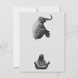 Carte Postale Élphant et Paresseux Méditatif en Harmonie